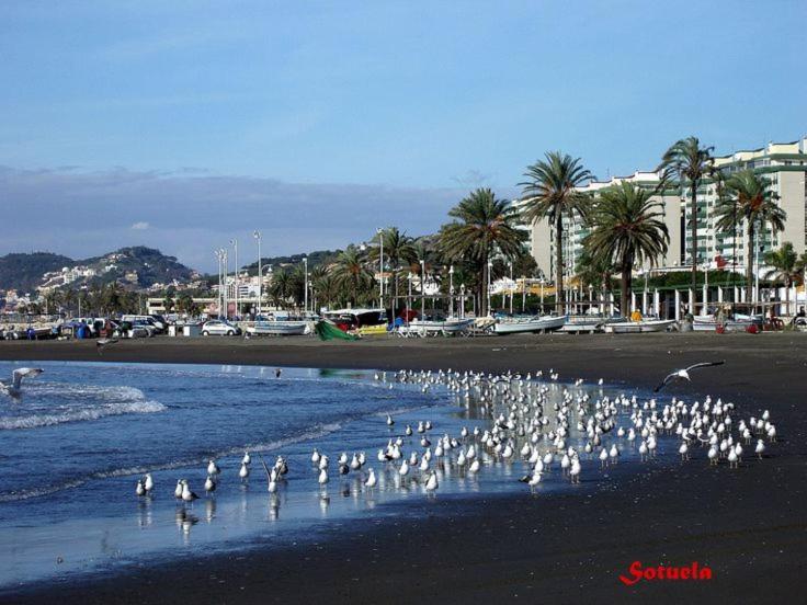 Apartamento El Bambu Cerca Del Mar Málaga Extérieur photo